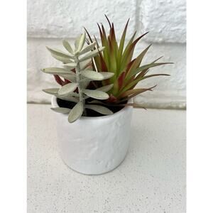 Her + Project Decorative Planter With Faux Pants NWT